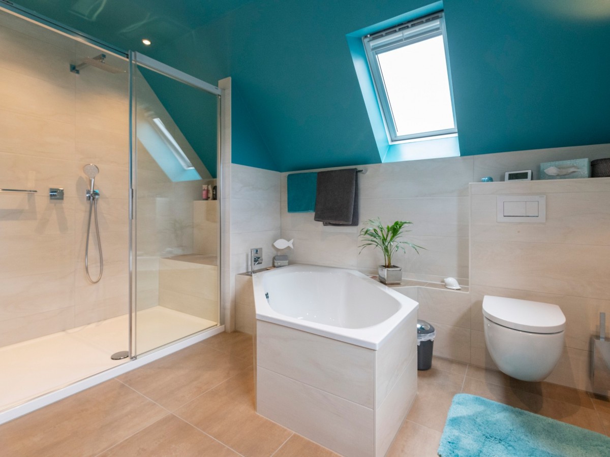 DSC2207 B50  DSC2207 B50