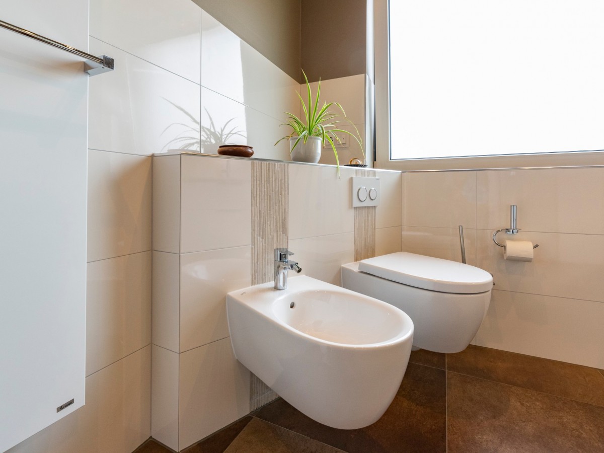 DSC2257 B50  DSC2257 B50